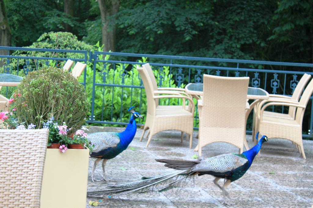 Akzent Hotel Hoxberg Beckum Exterior photo